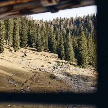Rifugio Malga Ra Stua Hytte *